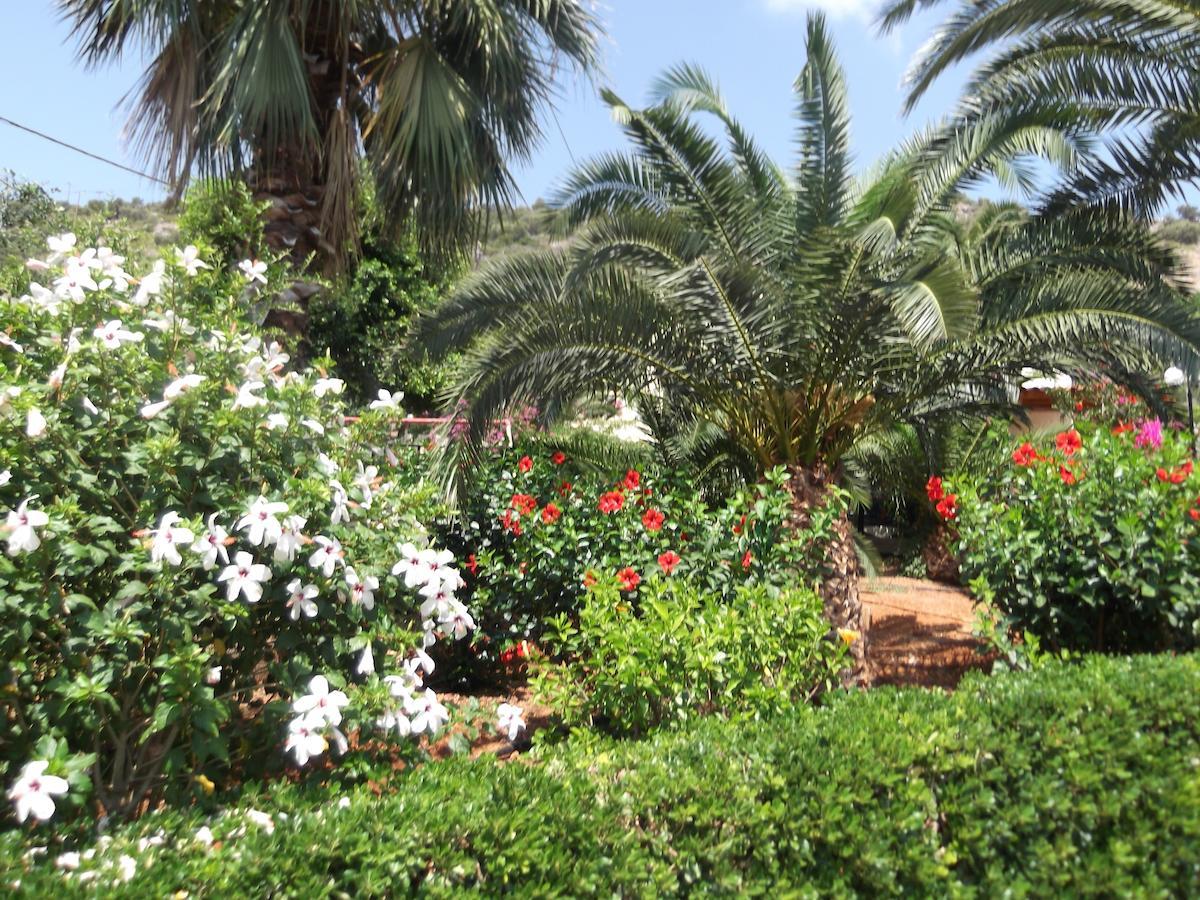 Aparthotel Mariamare Apts Stalida